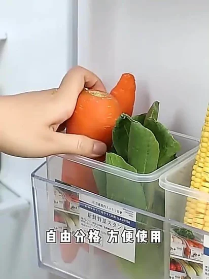 New Kitchen Accessories Refrigerator Food Storage Boxes